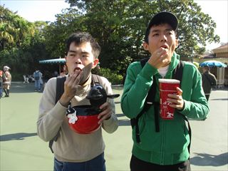 25日帰り旅行_TDL①